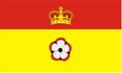 Hampshire Table Flags